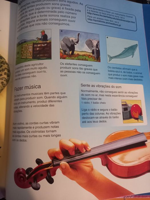 Primeira Enciclopédia da Ciência