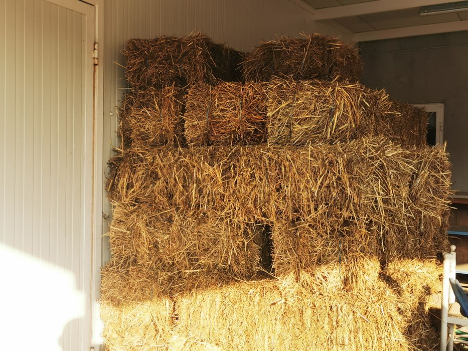 Palha vários fardos