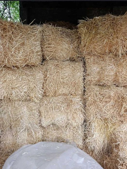 Продам солому в тюках