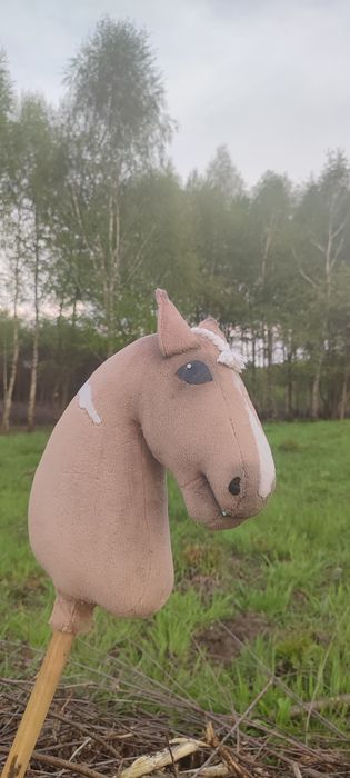 Kucyk hobby horse