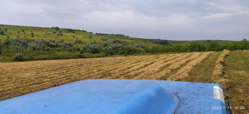 Сіно люцерни у великих квадратних тюках. Доставка, свіже 2025р