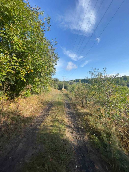 Продажа участка земли в СТ Припять (Васильковский район )