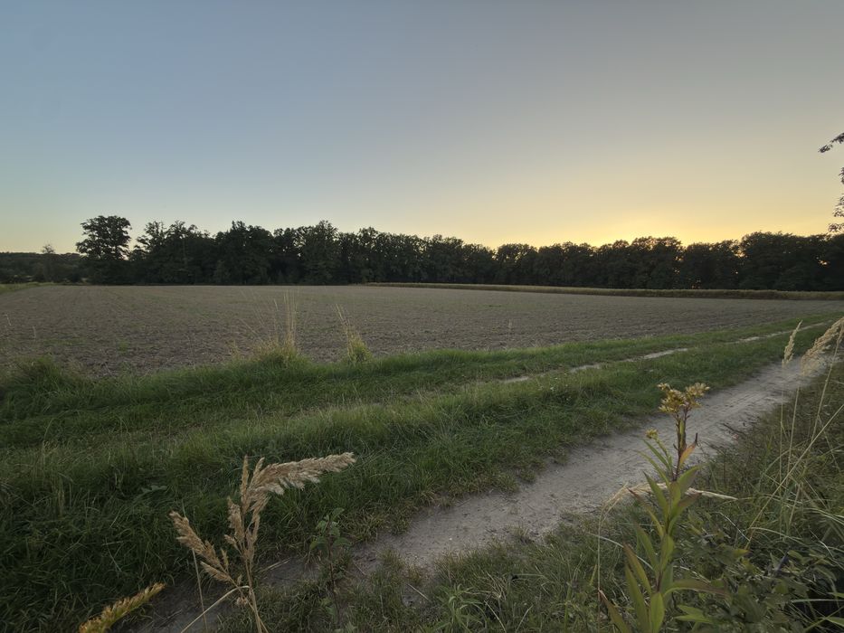 Działki pod dom| Wilkowa Mała | 1000–1267 m² | CISZA I NATURA