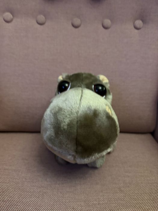 Big Headz Hipopotam maskotka przytulanka wysokość 18cm.