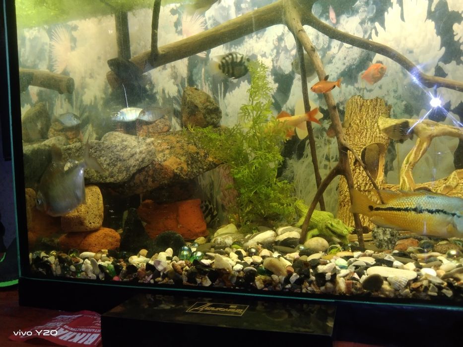 Продам акваріумний кварцовий пісок