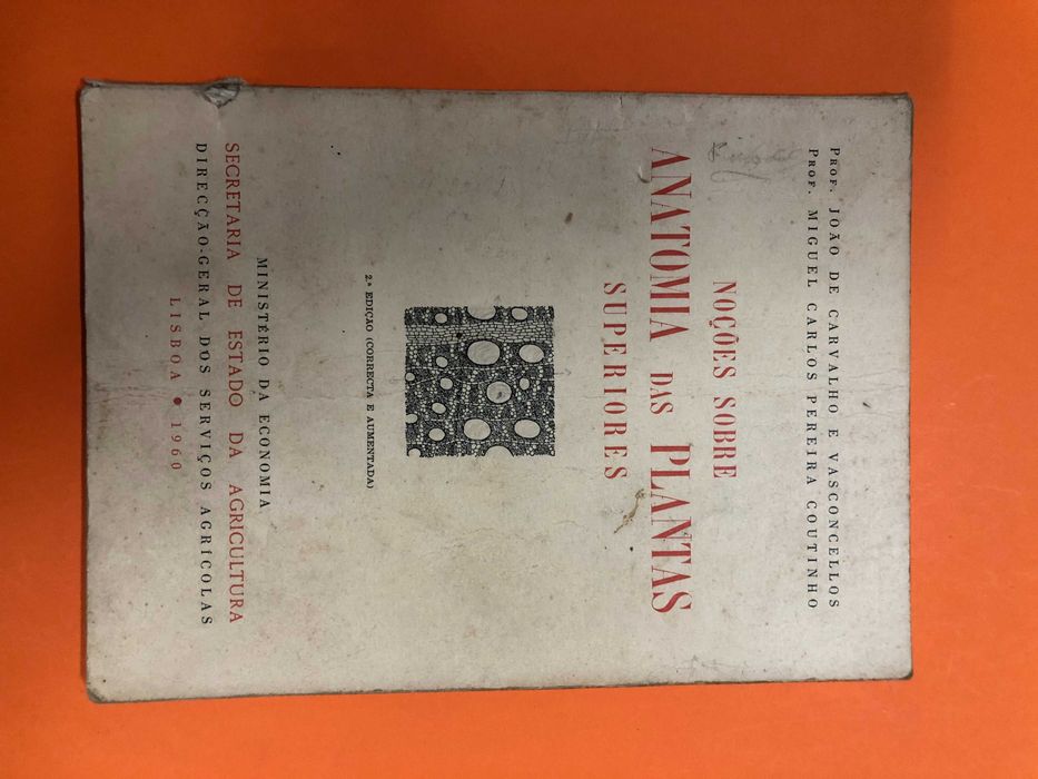 Noções sobre anatomia das plantas superiores