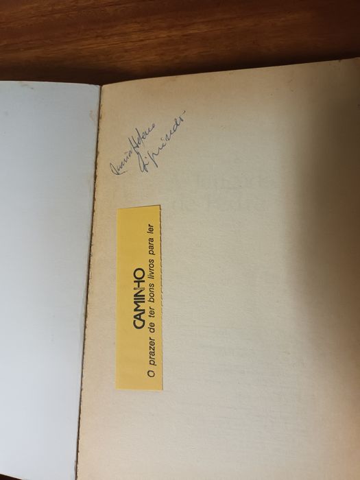 Livro José Saramago A Jangada de Pedra