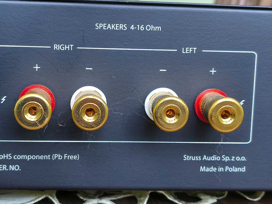 Wzmacniacz hi -end STRUSS DM 250