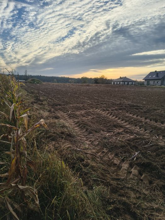 Działka budowlana k. Rypina. Wydane WZ. - Widok 2