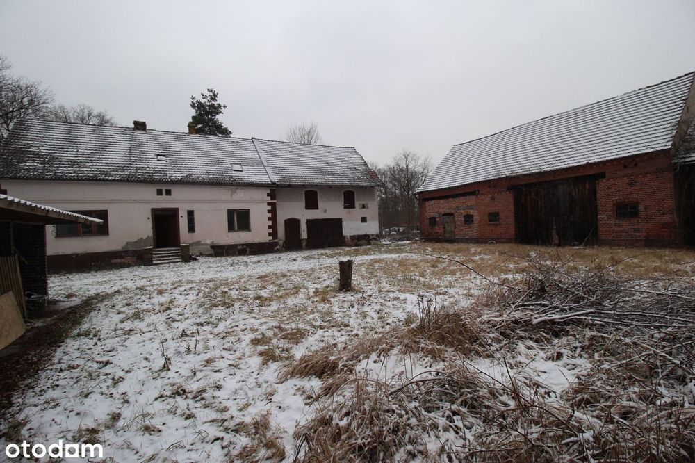 Roztoki - dom/gospodarstwo i działka budowlana, razem 0.63 ha - Więcej