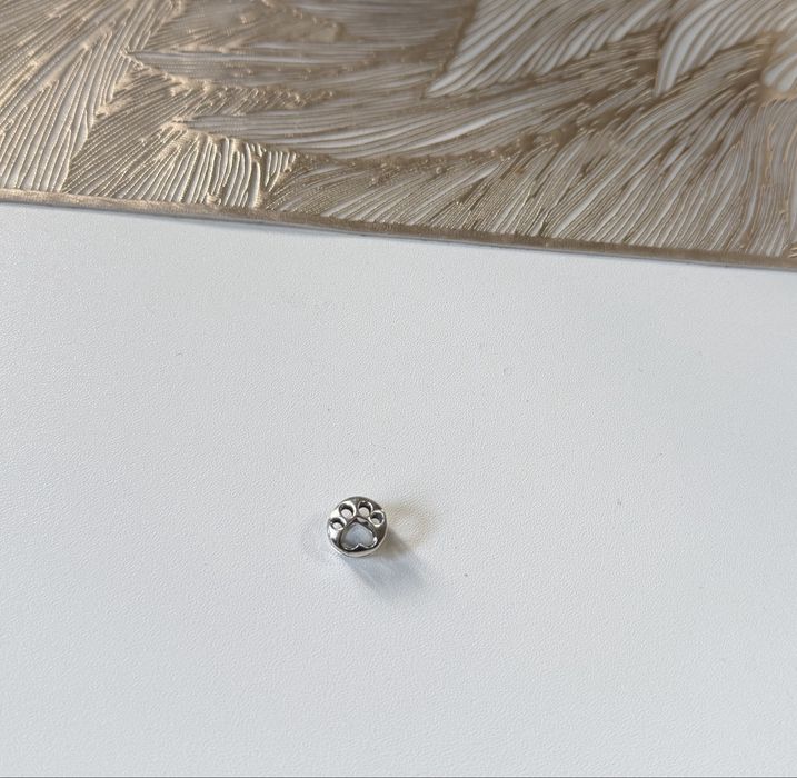 Pandora Charms Łapka nowy