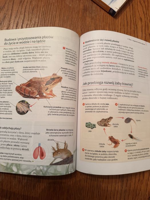 Puls Zycia 6 klasa podrecznik do biologii Nowa Era