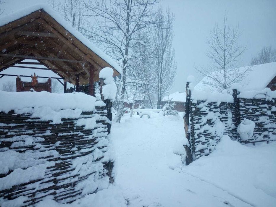 Новый год в Поплавке!