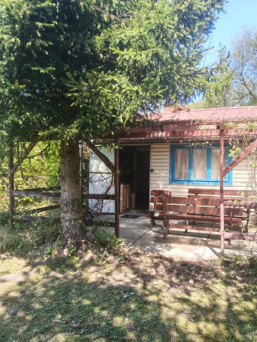 Działka ROD Jarzynka w Dobczycach - Widok 2