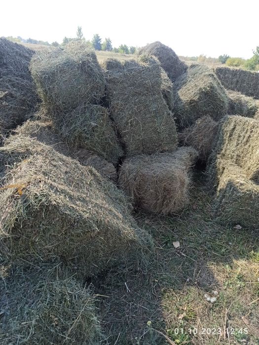 Продам сіно солому люцерну