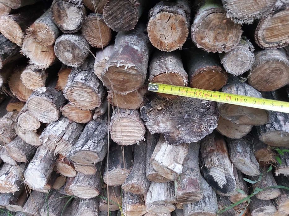 dąb kominkowy suchy drobny gałęziówka