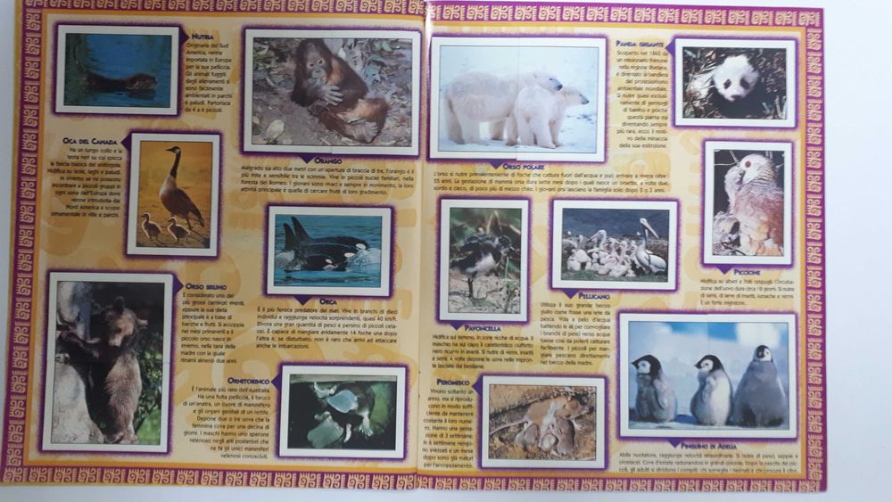 Caderneta de cromos Í Cuccíolí completa