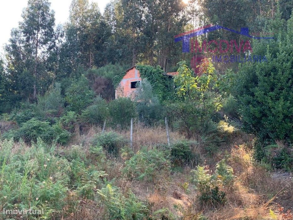 Casa de pedra com terreno de 5000m2