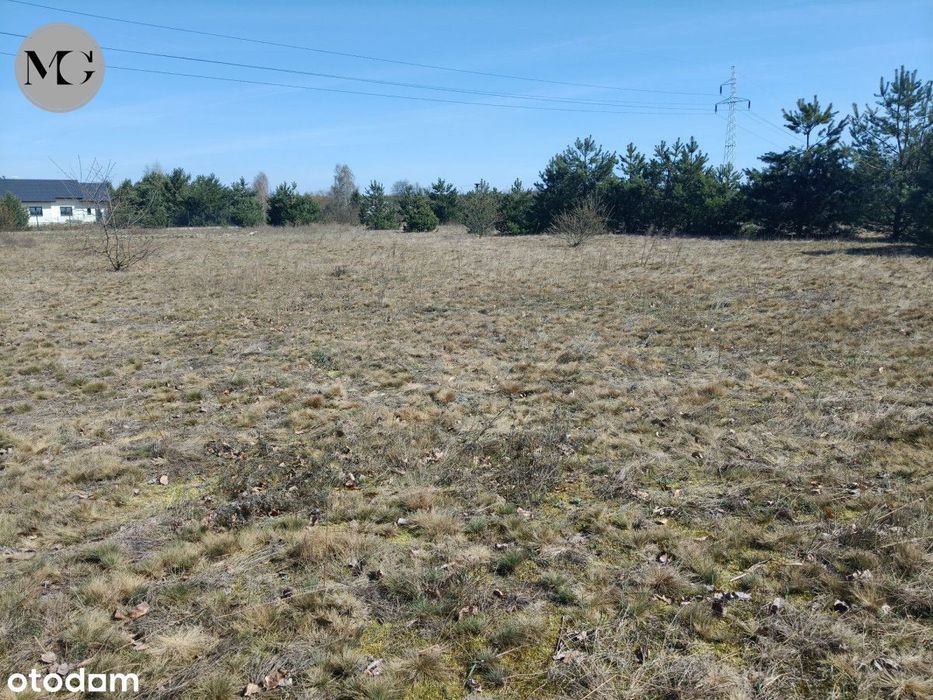 Duża Działka Budowlana Przy Lesie 3215m2