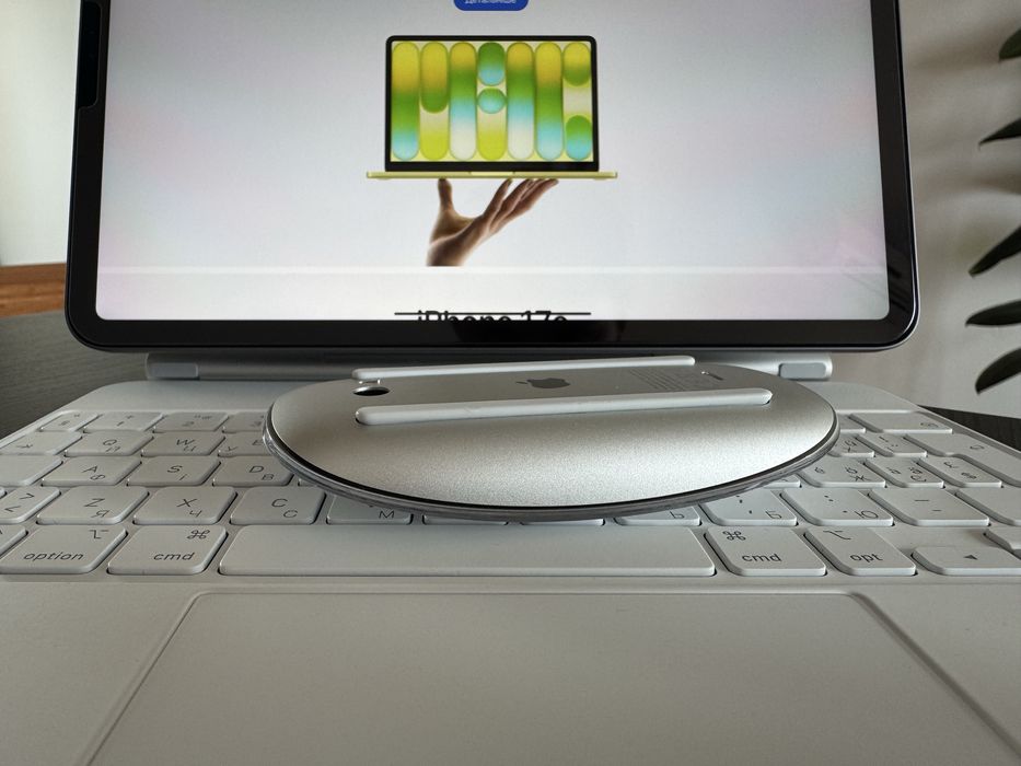 689-Apple Magic Mouse