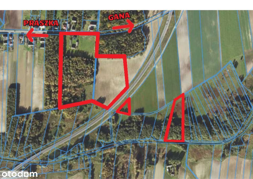 Siedlisko / ranczo / gospodarstwo / dom 6,4 ha + las + staw + zabudow.