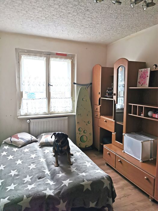 2 pokoje | 42,84 m² | parter | ul. Staszica | piwnica | bezpośrednio