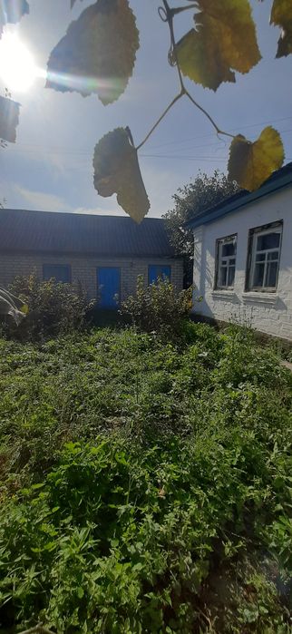 Пропоную гарний жилий будинок поблизу смт Козелець