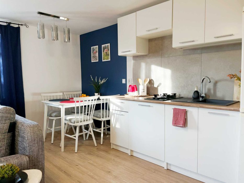 Domek z kominkiem i sauną w Leśnej Polanie- wolne Święta