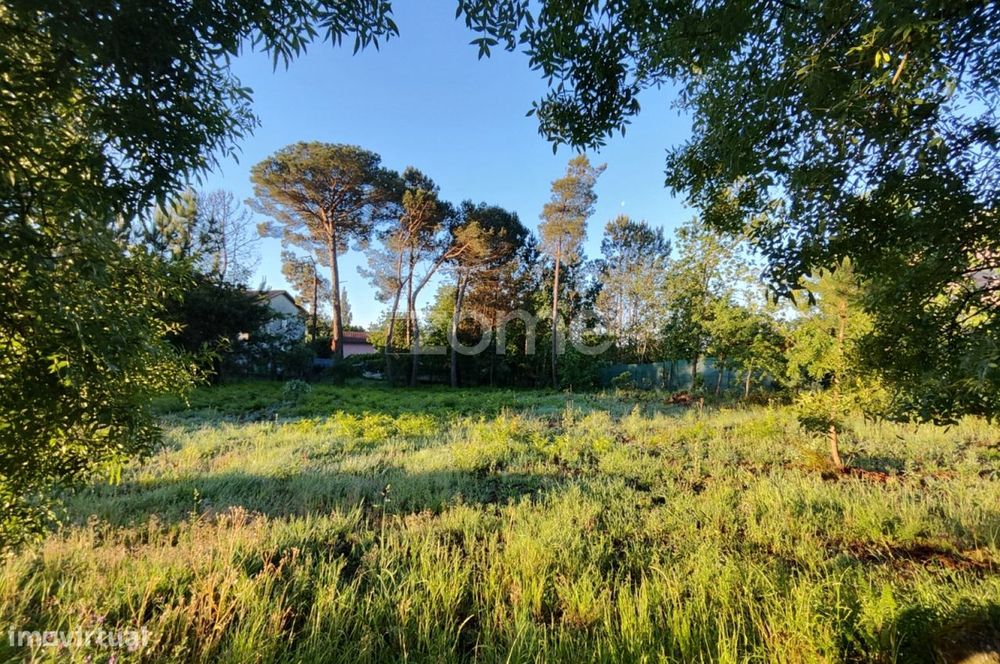 Terreno Urbanizável Vila Chã de Sá