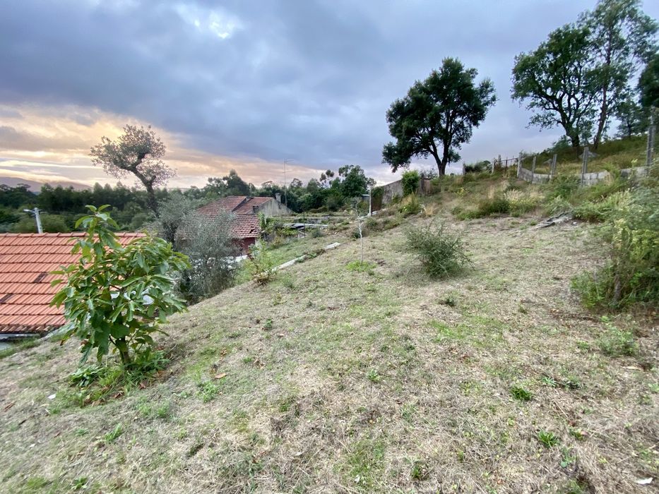 Quintinha c/ moradia T3 + 2 Ruínas