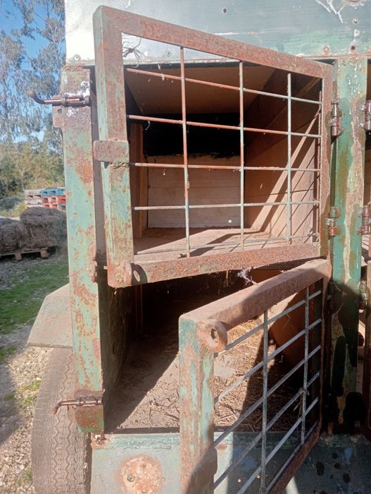 Atrelado/Reboque para cães