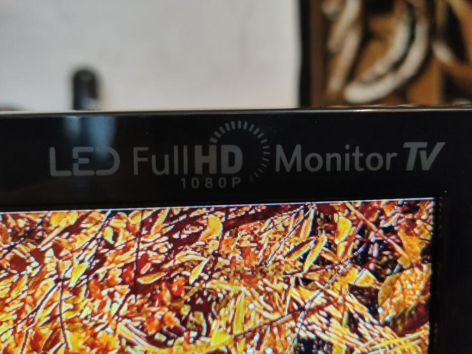 Led fullhd monitor tv lg