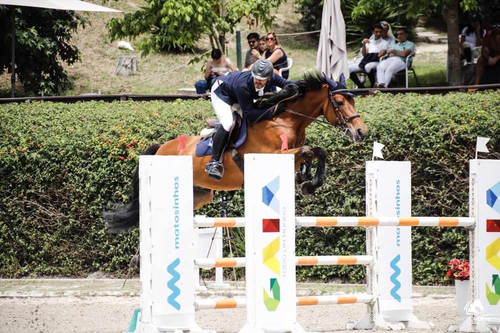 Cavalo castrado a saltar 1.30m