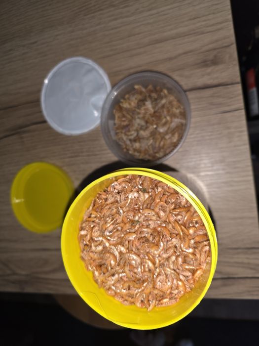 Pokarm dla żółwia lub kraba