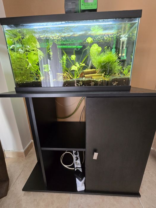 Conjunto de aquario mais movel