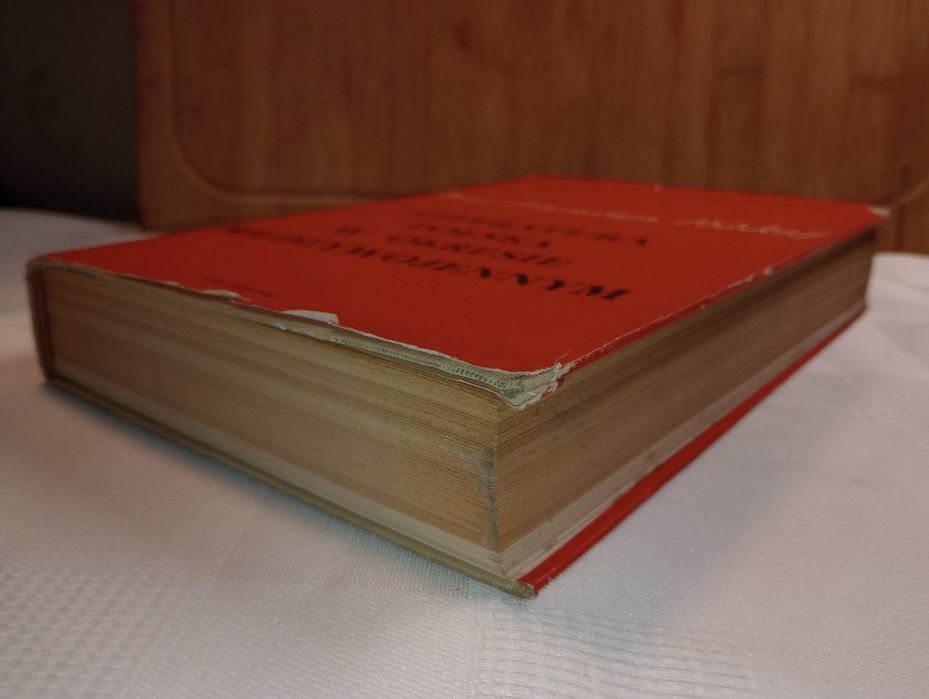 Literatura polska w okresie międzywojennym. T.1.