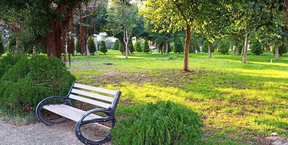 Здам кімнату Туреччина Мерсін.  Оренда кімнати Мерсін Туреччина