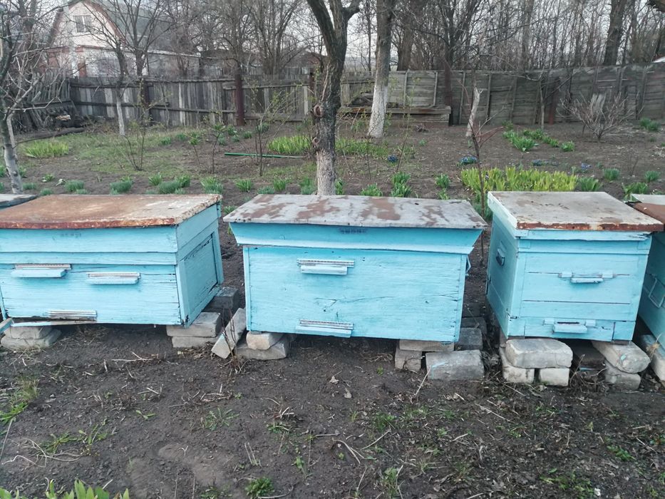 Ульи  для  пчел.