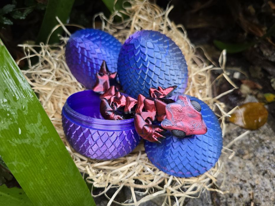 Bebé Dragão no Ovo