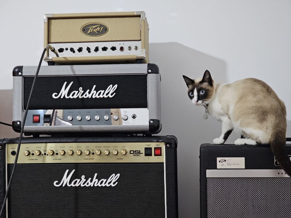 Marshall Jubille Studio NOVO 2525H