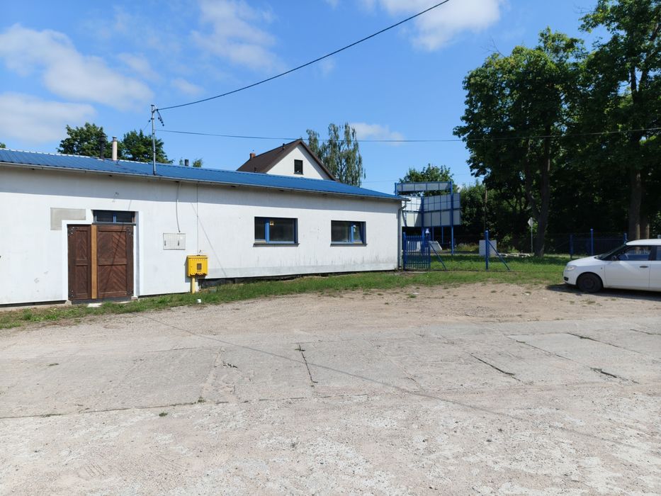 Zdjęcie 5