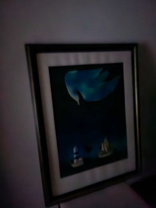 Serigrafia Alfredo Luz