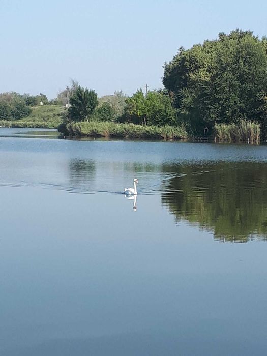 Продам дом в живописном месте вблизи озера пригород Одессы.