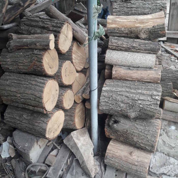 Продам дрова дубовые