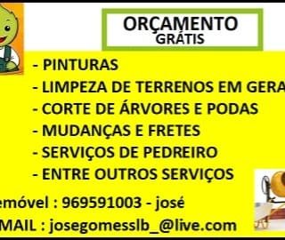 Limpeza de terrenos entre outros serviços