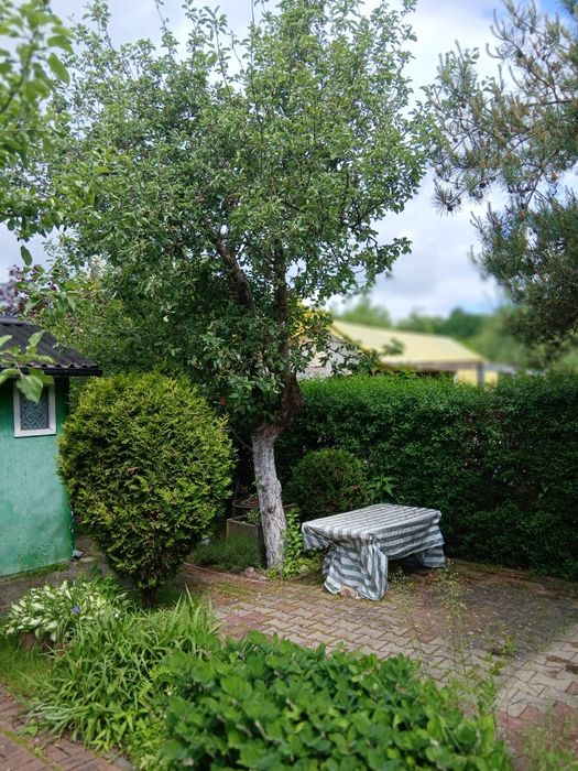 Działka rekreacyjna ROD REKREACJA KLUCZ 297 m² - Widok 6