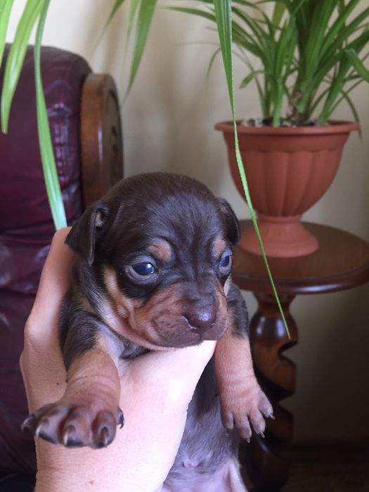 Мальчик и девочка