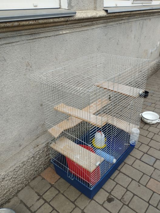 Большая клетка для грызунов