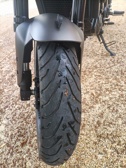 Benelli leoncino 250