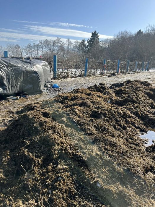 Oddam nawóz bio pochodzenia końskiego (GNÓJ)